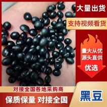 大豆精品黑豆对接全国产地直供欢迎采购保质保量