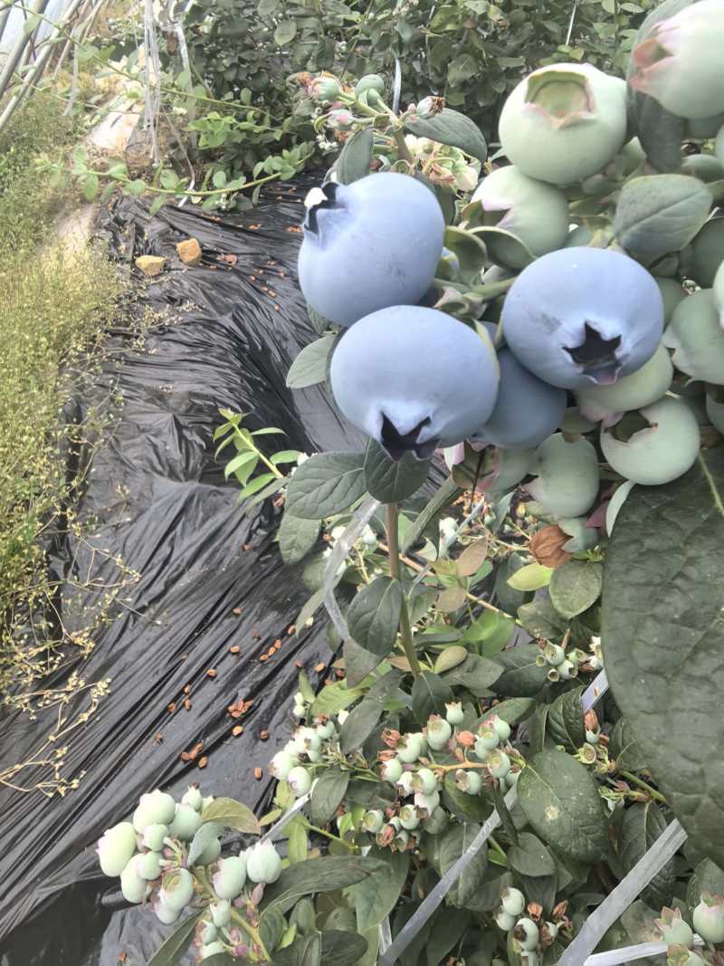 宇民同乐