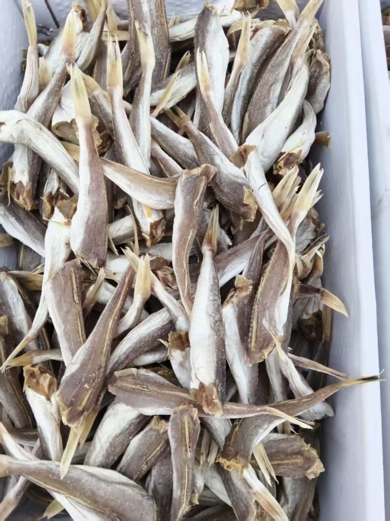 风干红娘鱼干红头鱼干咸鱼海鱼海鲜干货海产品批发