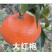 重庆橙子🍊，产地直供，欢迎咨询