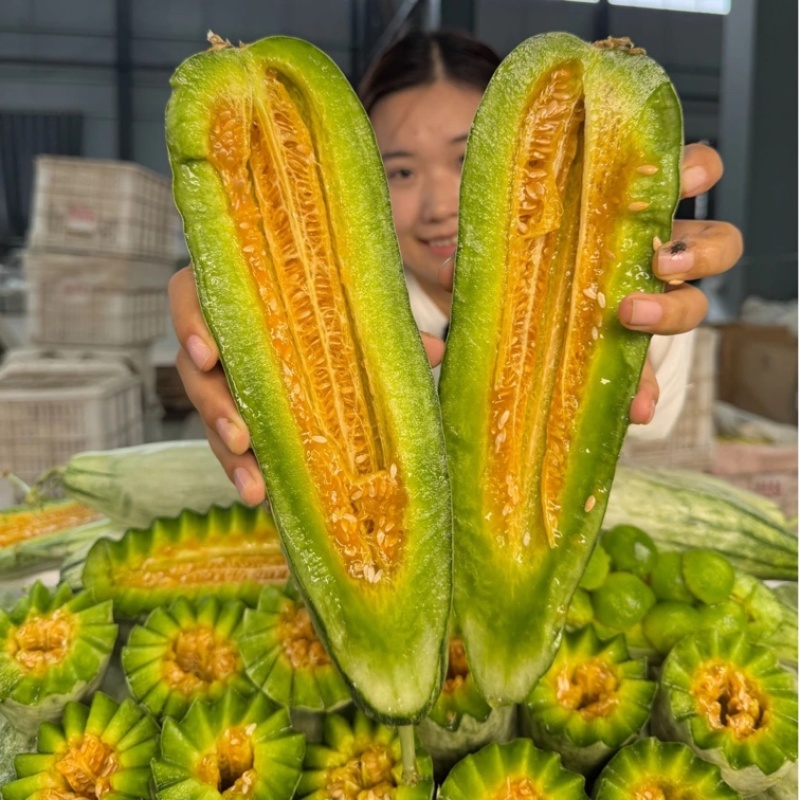 山东潍坊羊角蜜甜瓜/产区直发/货源充足/大量现货