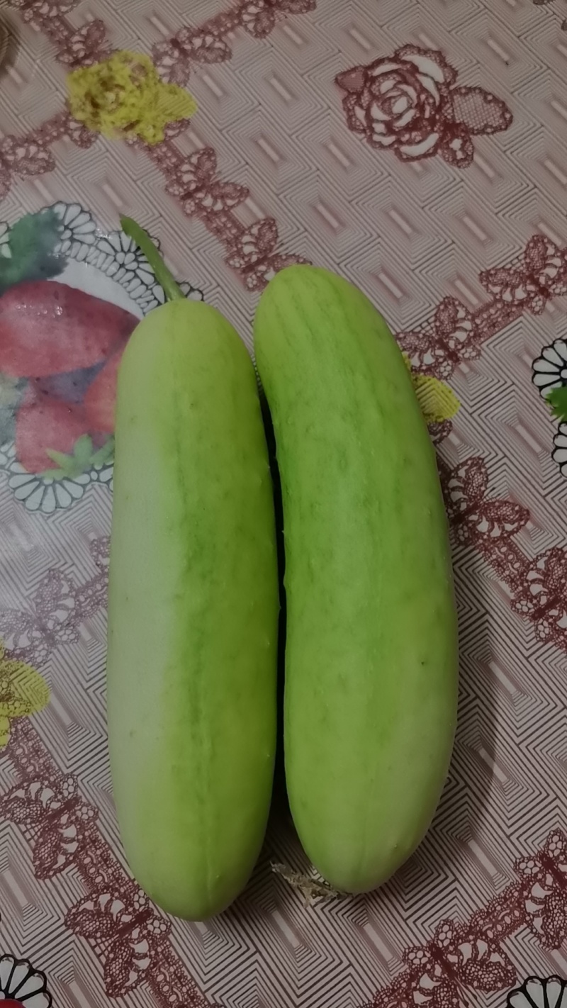 水果黄瓜