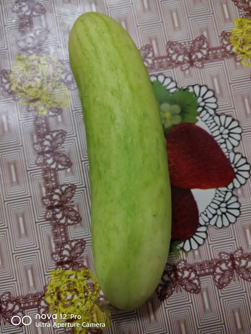 水果黄瓜