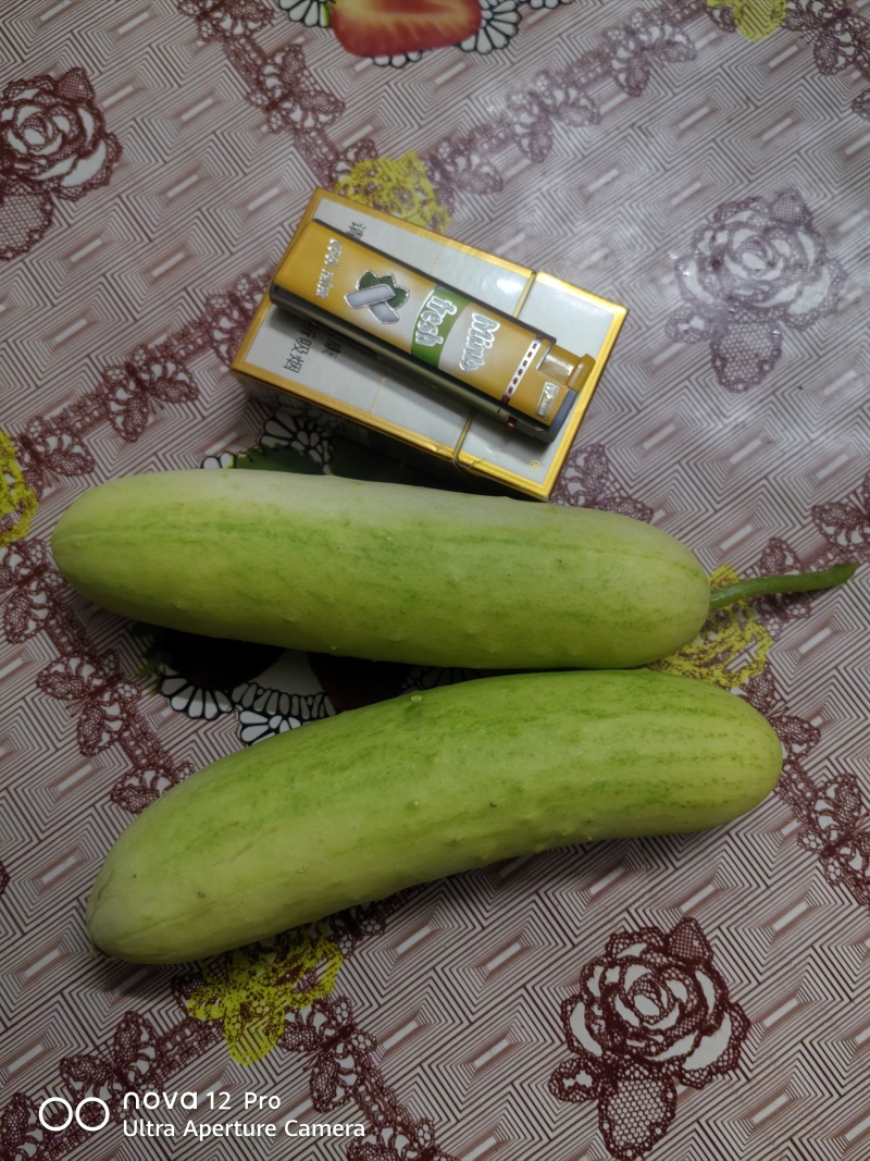 水果黄瓜