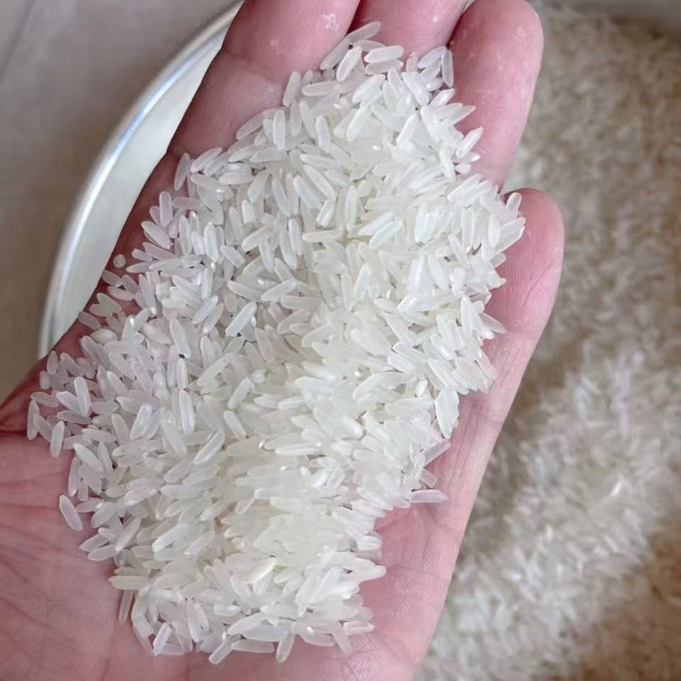 黄花粘大米
