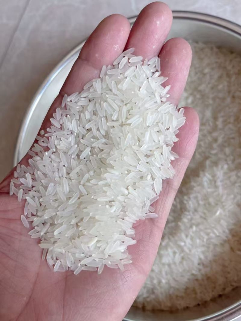 黄花粘大米