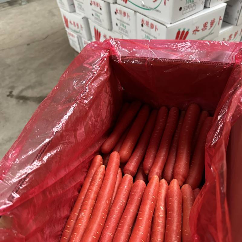 红萝卜产地精品工厂一手货源供应新鲜水果红萝卜欢迎批发