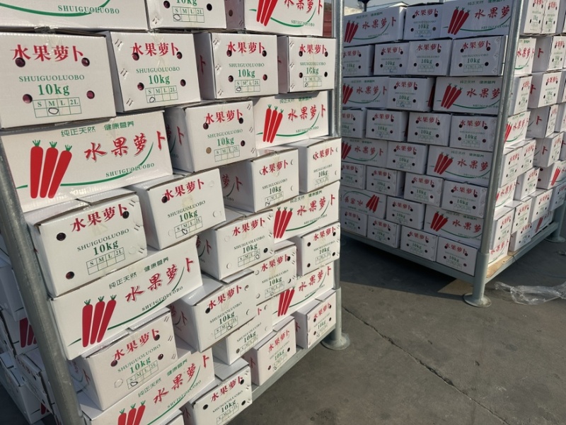 红萝卜产地精品工厂一手货源供应新鲜水果红萝卜欢迎批发