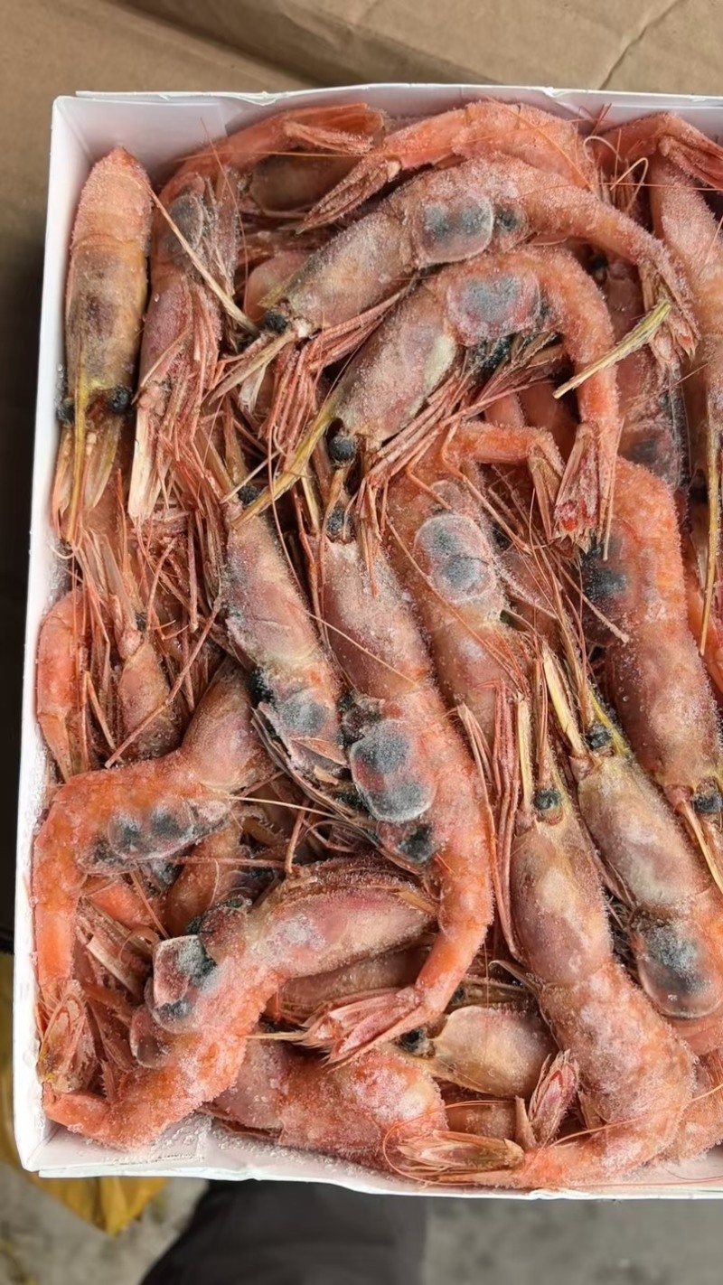 俄罗斯北极甜虾刺身1KG日料餐饮电商