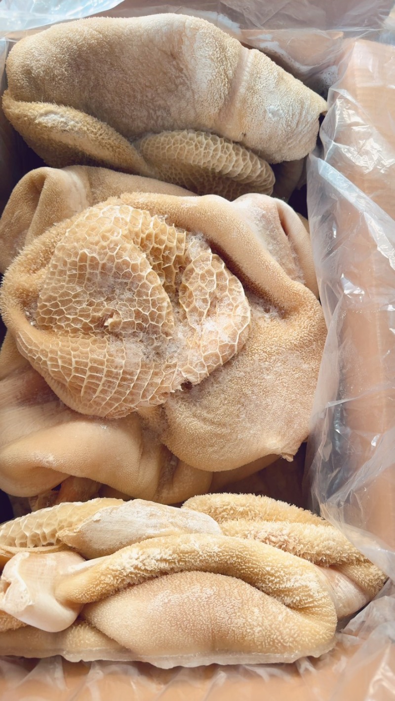 牛肚纯干牛肚带金钱肚出成一斤5-6两左右！