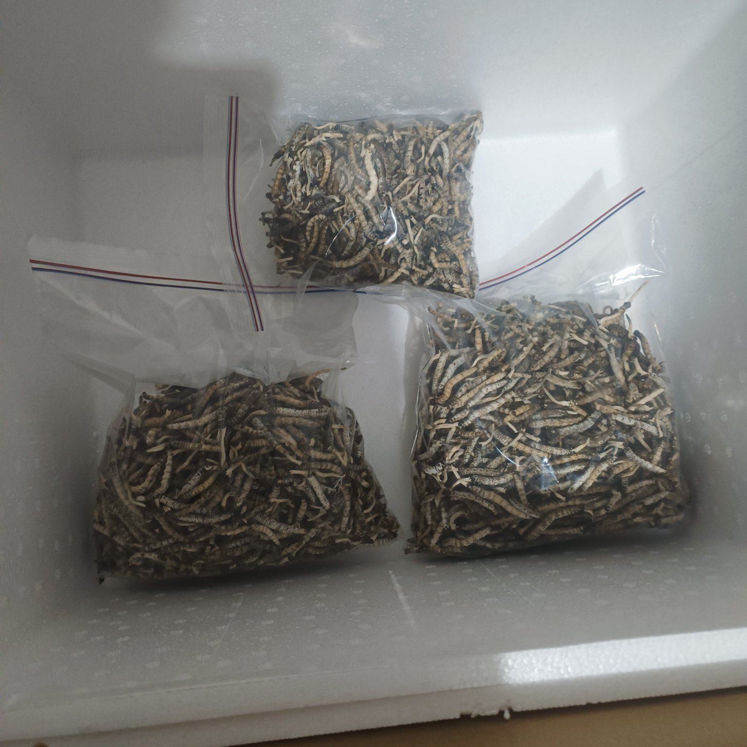 亚香棒虫草自挖自洗干净自然阴干足干