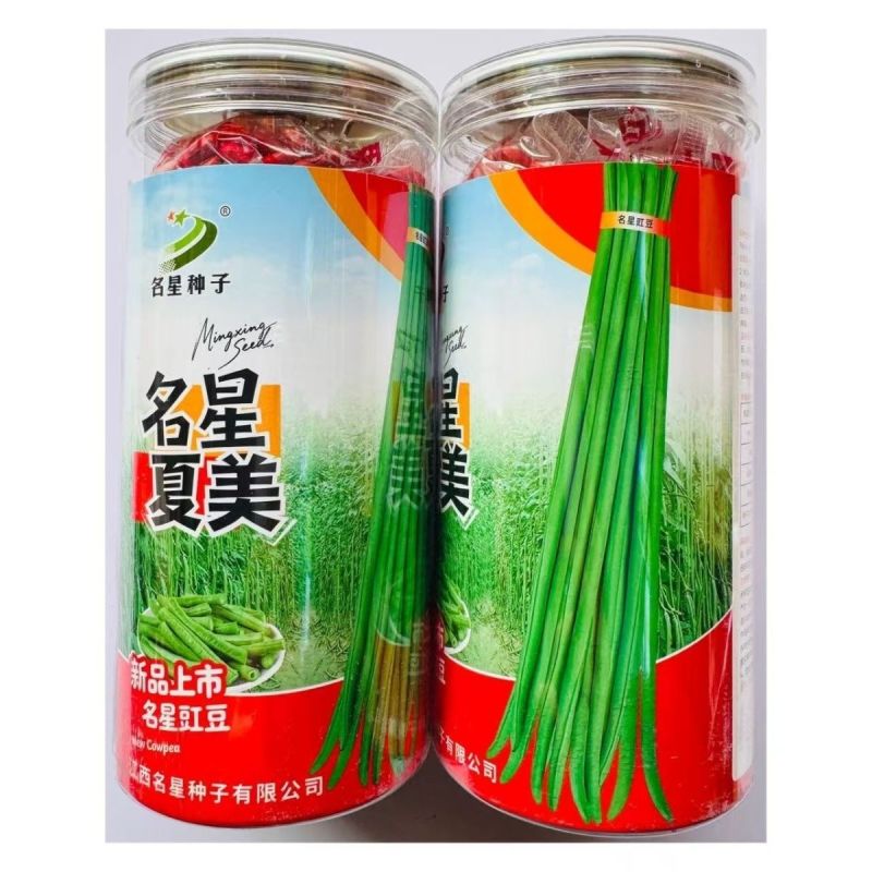名星夏美豇豆种子中熟压塌架挂满豇豆籽条荚顺直白籽白花耐热