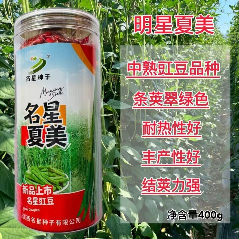名星夏美豇豆种子中熟压塌架挂满豇豆籽条荚顺直白籽白花耐热