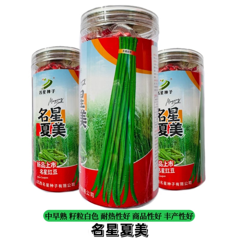 名星夏美豇豆种子中熟压塌架挂满豇豆籽条荚顺直白籽白花耐热