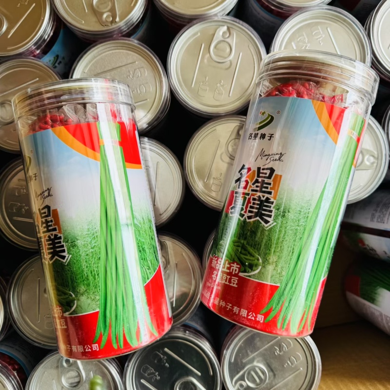 名星夏美豇豆种子中熟压塌架挂满豇豆籽条荚顺直白籽白花耐热