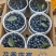云南玉溪澄江花香蓝莓