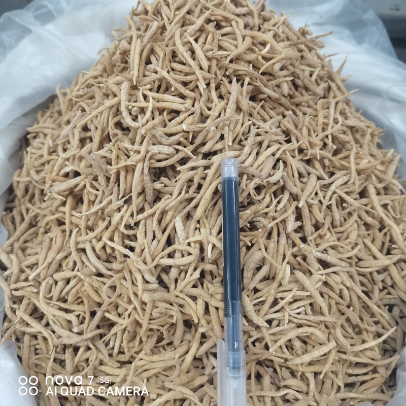 太子参中草药太子参干货规格齐全量大从优哦
