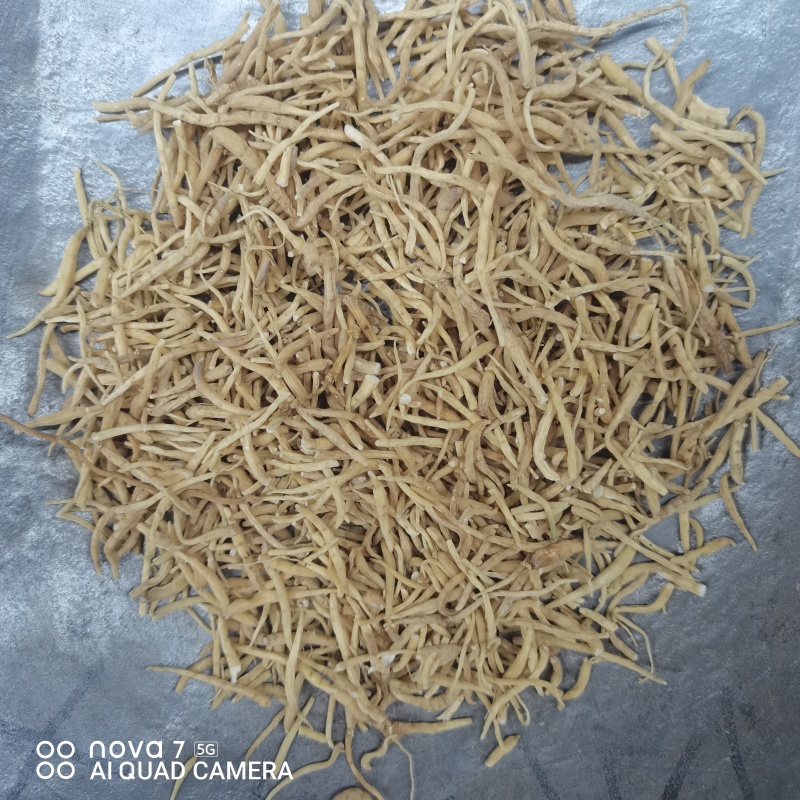 太子参中草药太子参干货规格齐全量大从优哦