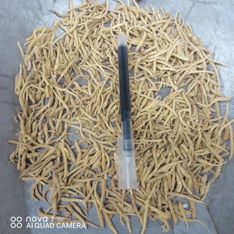 太子参中草药太子参干货规格齐全量大从优哦