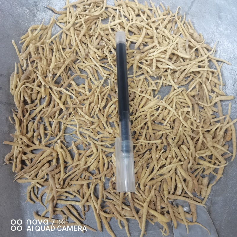 太子参中草药太子参干货规格齐全量大从优哦