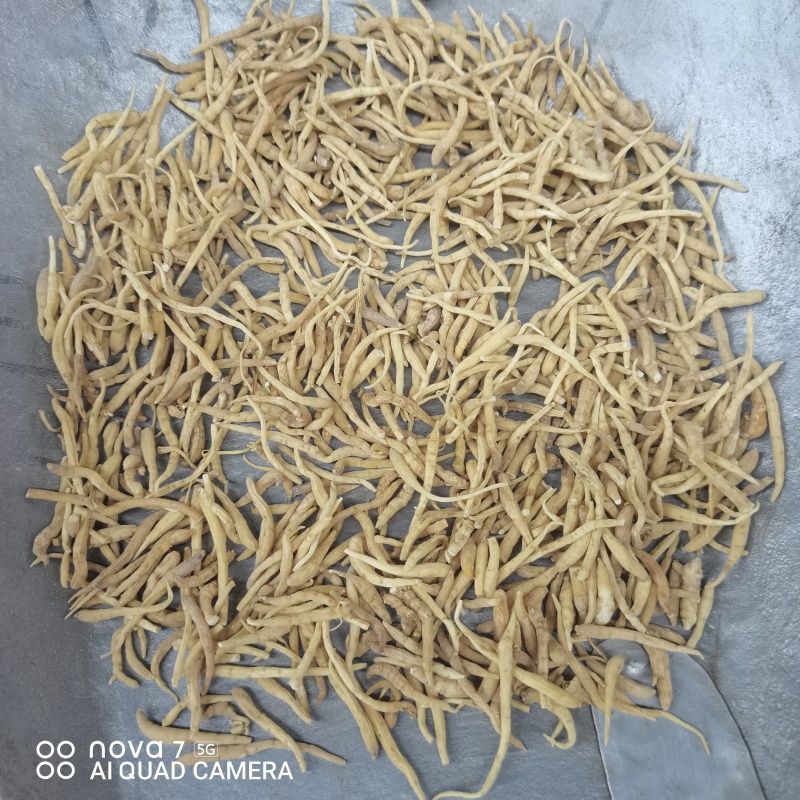 太子参中草药太子参干货规格齐全量大从优哦