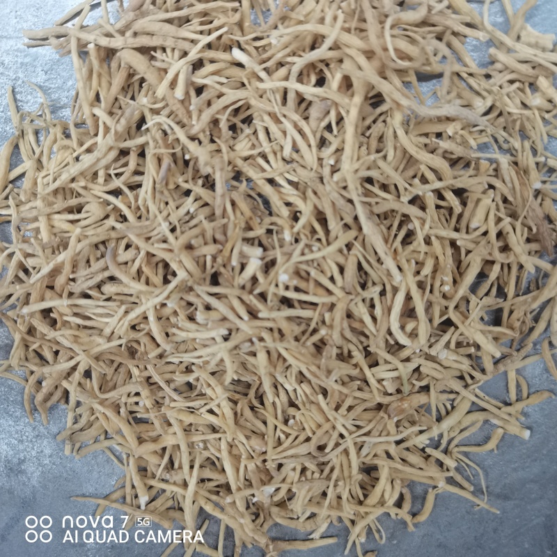 太子参中草药太子参干货规格齐全量大从优哦