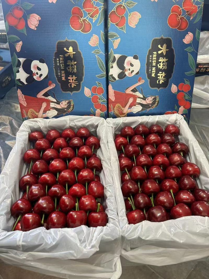 《推荐》河北美早樱桃对接商超团购电商一条龙服务量大从优