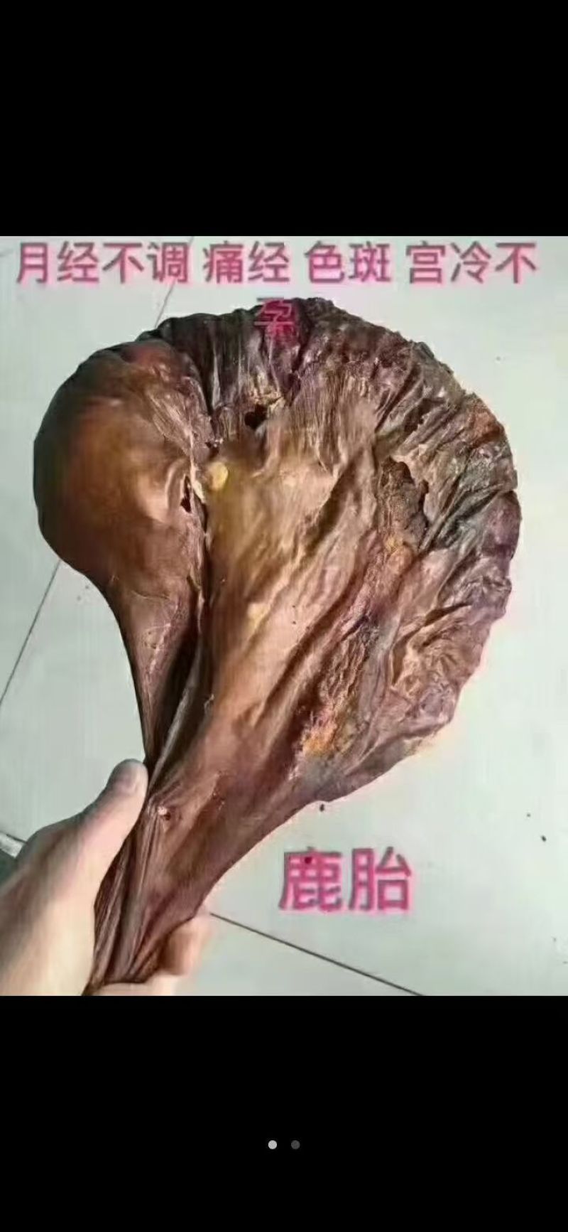 麒福缘梅花鹿