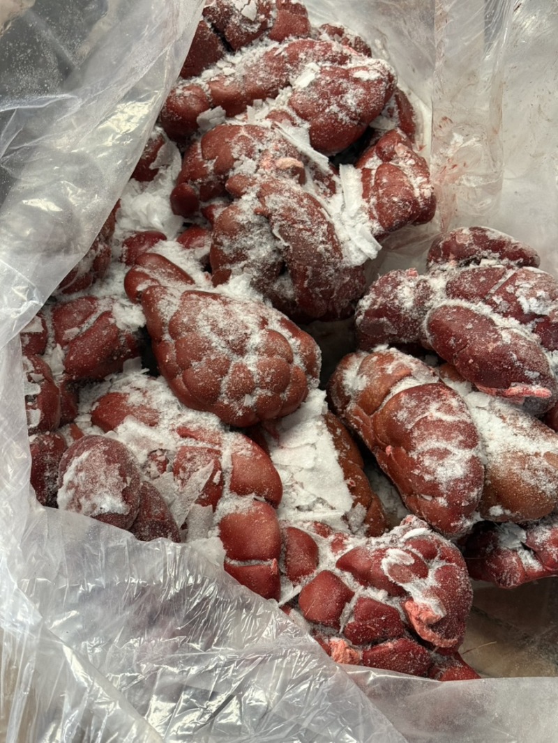 牛腰牛净腰牛肾烧烤烤肉食材