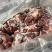 牛腰牛净腰牛肾烧烤烤肉食材
