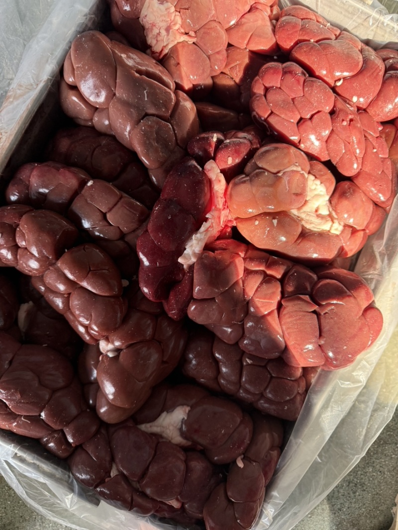 牛腰牛净腰牛肾烧烤烤肉食材