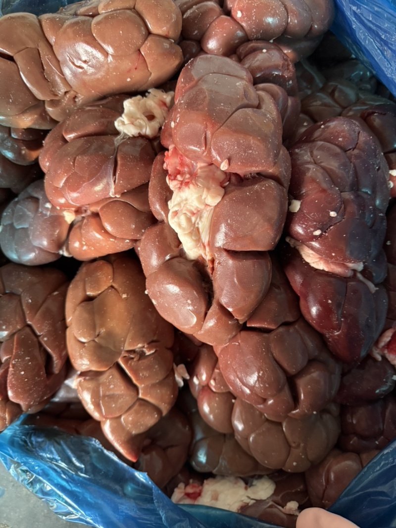 牛腰牛净腰牛肾烧烤烤肉食材