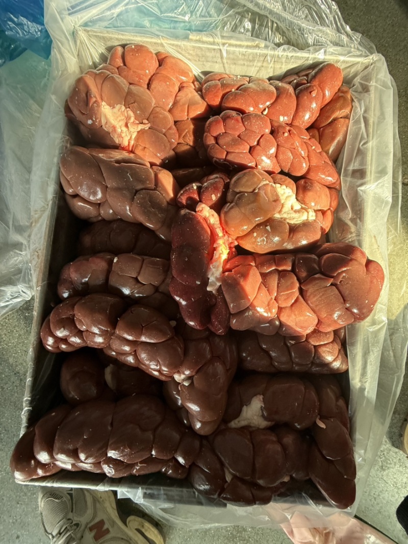 牛腰牛净腰牛肾烧烤烤肉食材