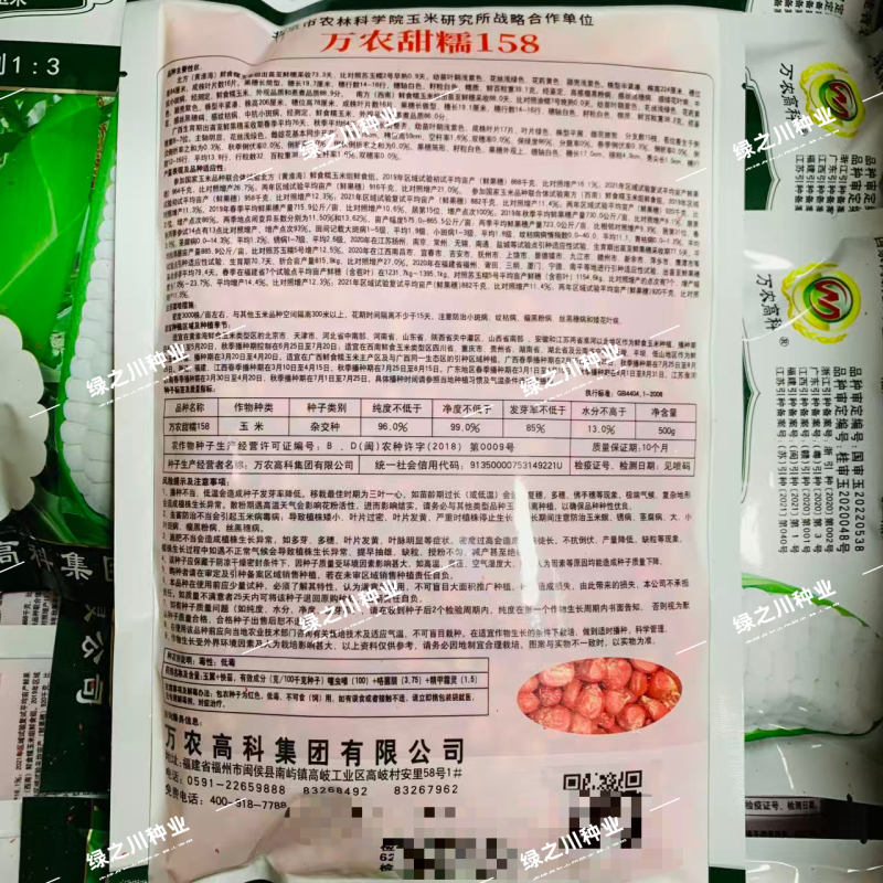 甜加糯玉米种子矮杆大棒万农甜糯158玉米种子高产鲜食玉米