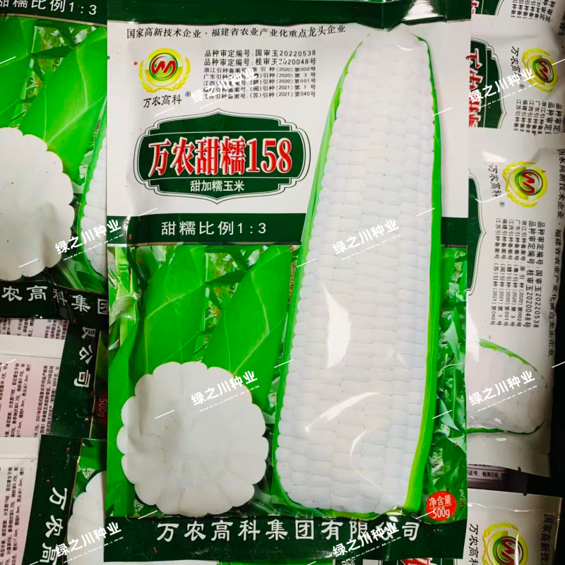 甜加糯玉米种子矮杆大棒万农甜糯158玉米种子高产鲜食玉米