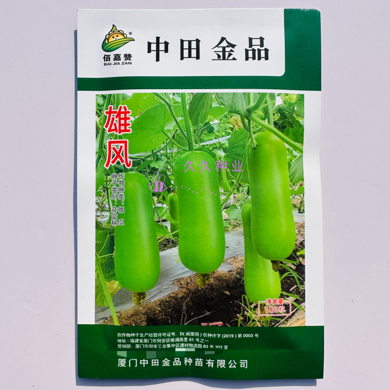 雄风中早熟杂交短棒瓠瓜种子蔓生皮色翠绿色泽光亮春秋种植