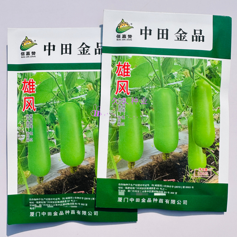 雄风中早熟杂交短棒瓠瓜种子蔓生皮色翠绿色泽光亮春秋种植