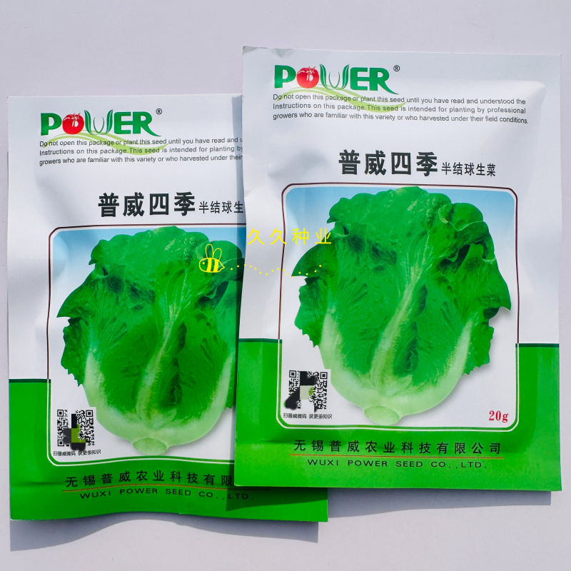 普威四季半结球生菜种子生菜籽阳台盆栽庭院四季播蔬菜
