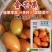 金芒果番茄无限生长型中熟品种成熟时橘黄色坐果率高酸甜适中