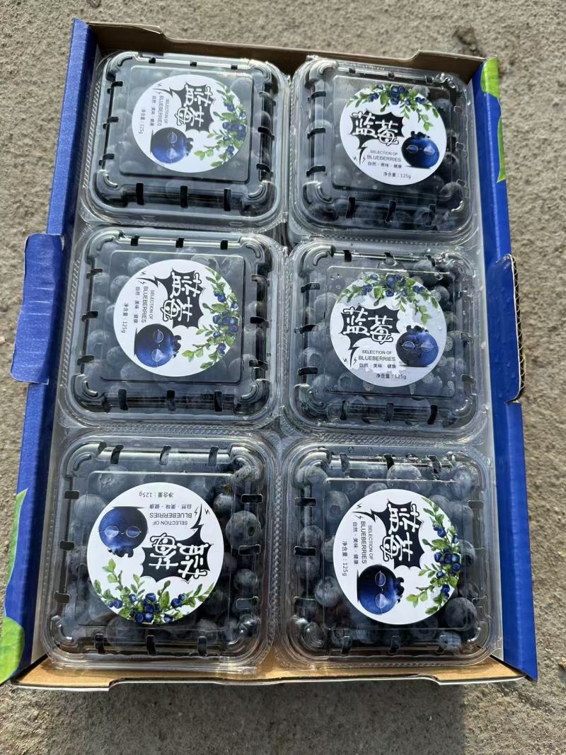 蓝莓F6H5等蓝莓大量有货基地直供品质优新鲜现