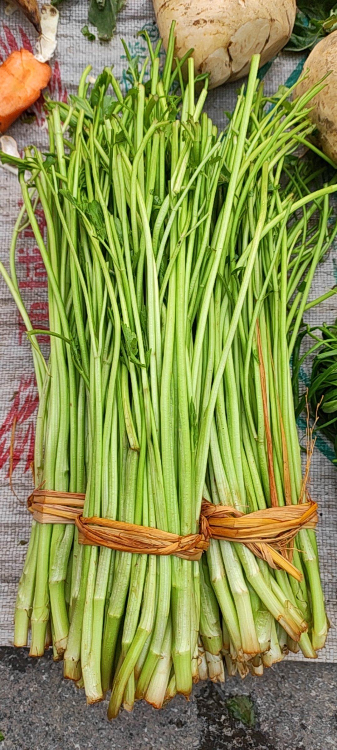 野芹菜