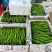 8号椒大量供应市场电商工厂质量保证一手货源