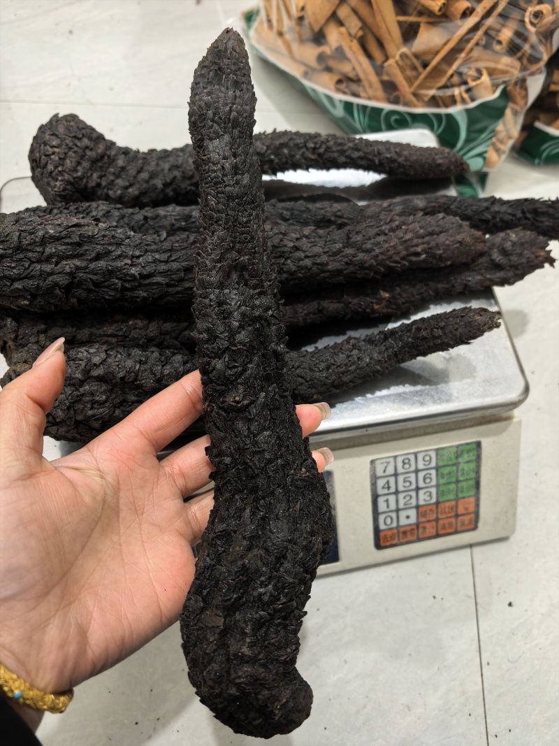 肉苁蓉整条无硫肉苁蓉大芸一手货源大货供应批发零售