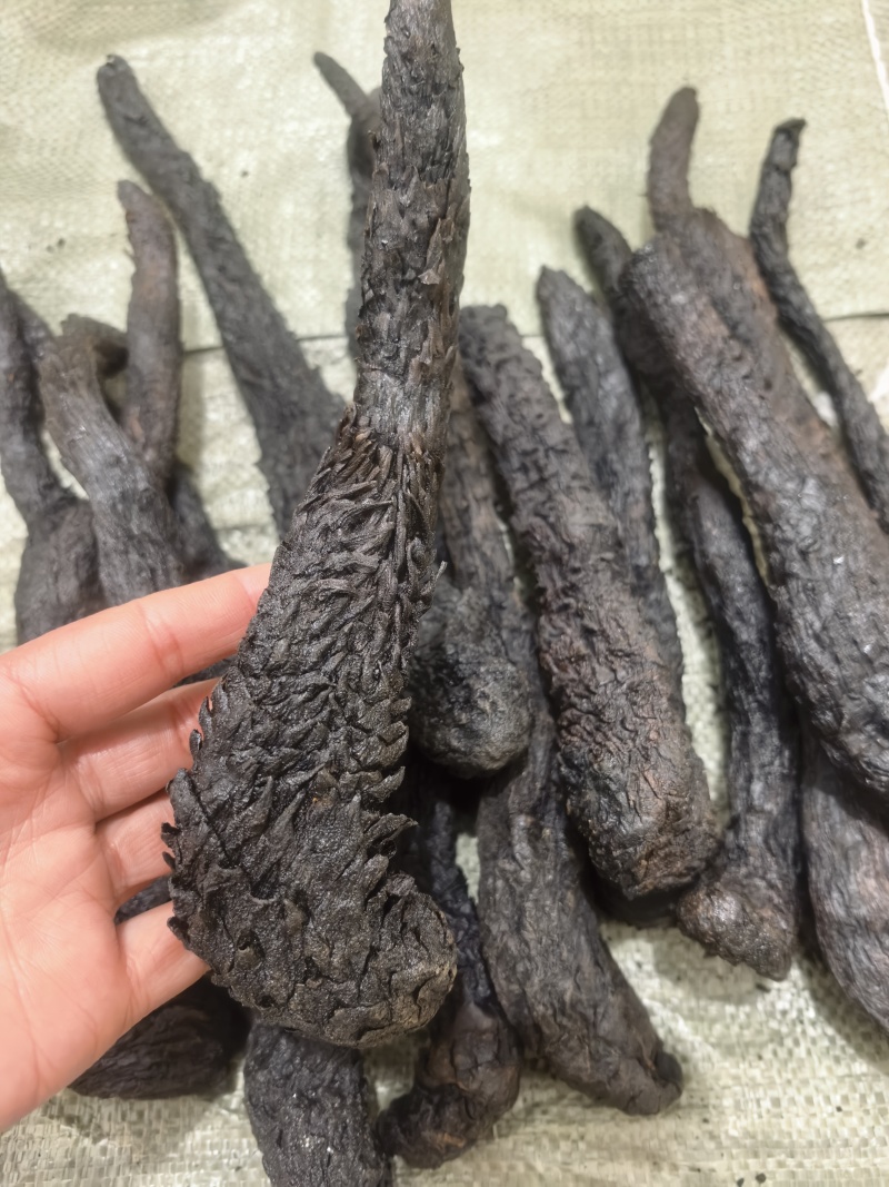 肉苁蓉整条无硫肉苁蓉大芸一手货源大货供应批发零售