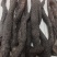 肉苁蓉整条无硫肉苁蓉大芸一手货源大货供应批发零售