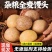 山东杂粮馒头无糖精***剂手工馒头粗粮全麦五谷减脂餐杂粮