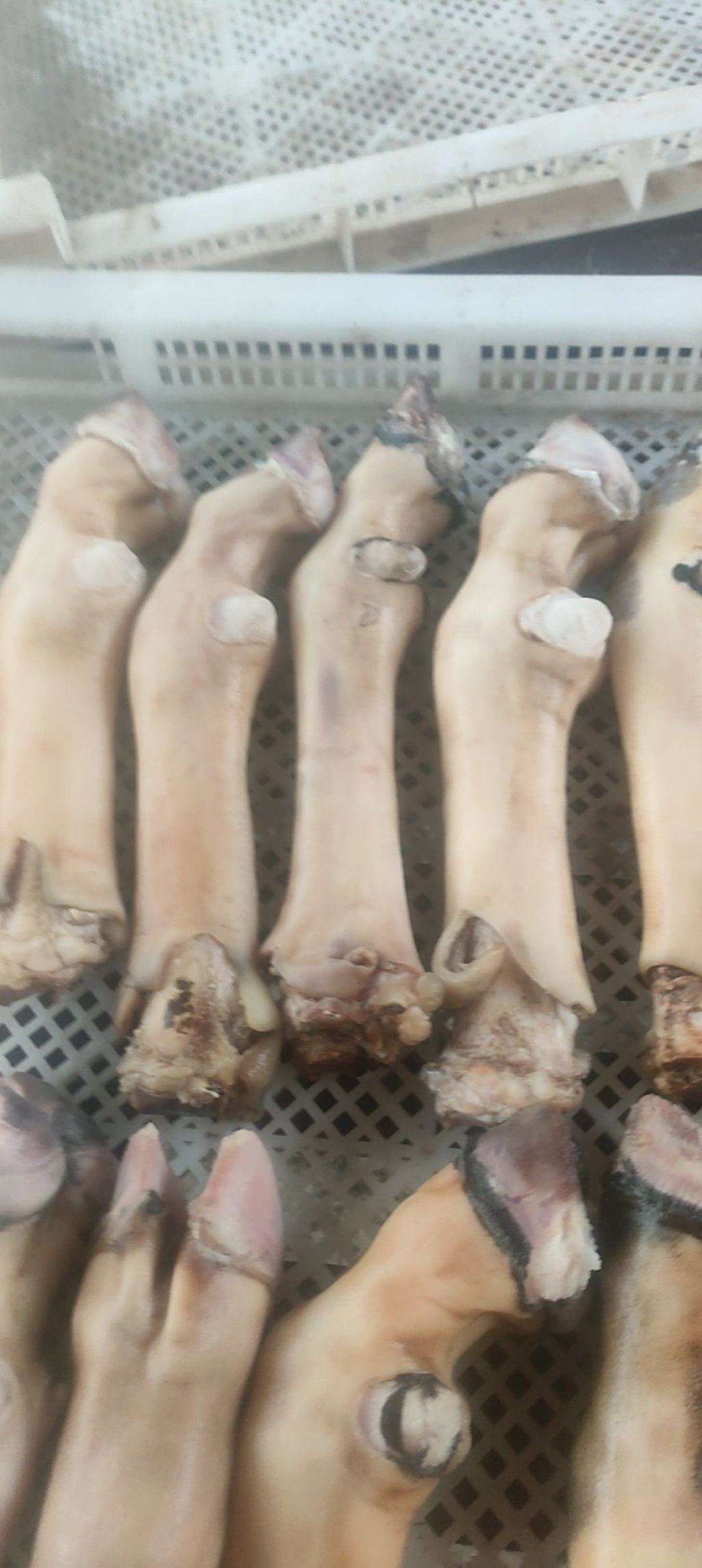 火烤羊蹄