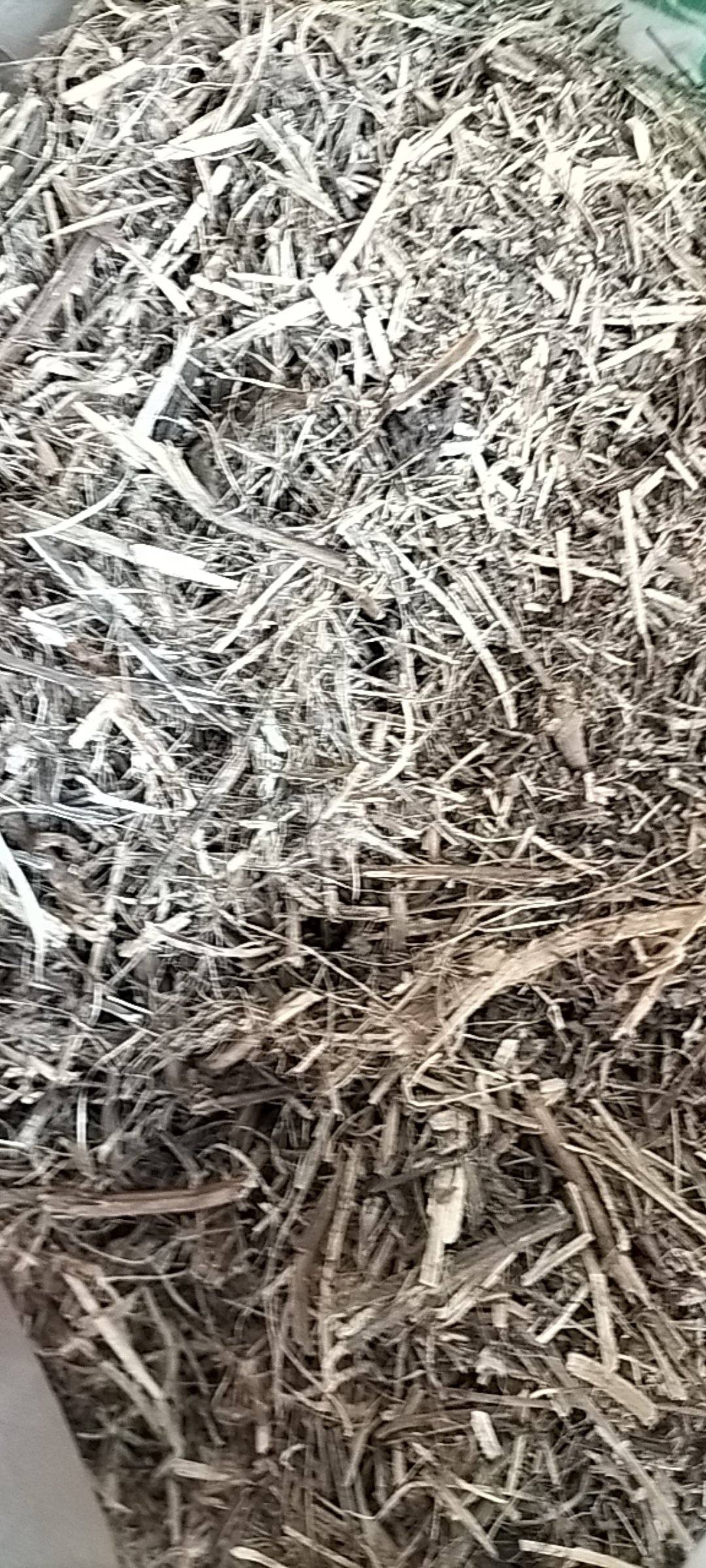 花生秧牧草