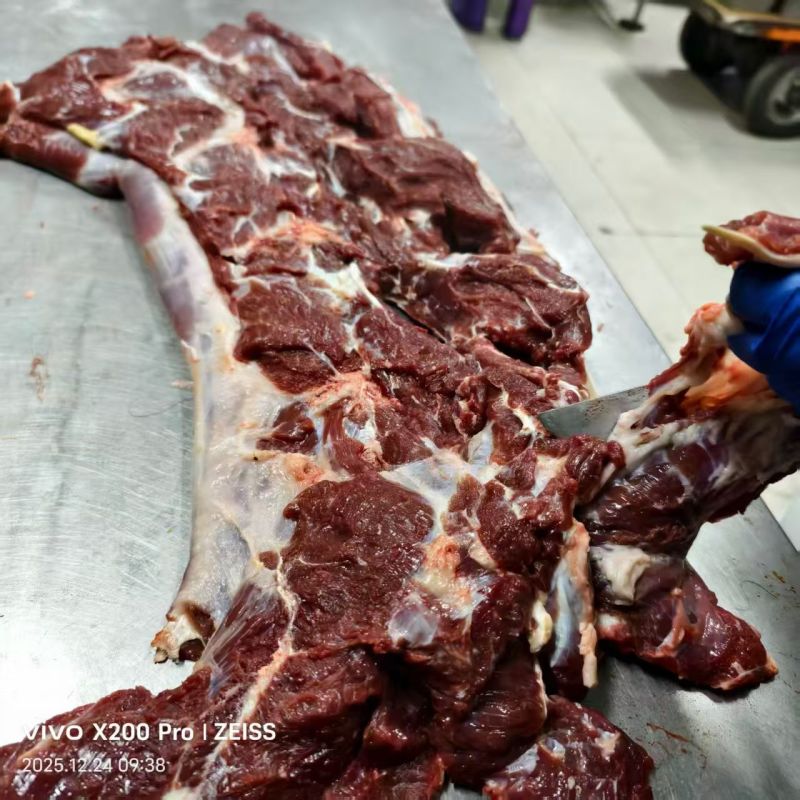 锡盟草原双峰骆驼肉，肉饼的好朋友，适合餐饮，送礼！