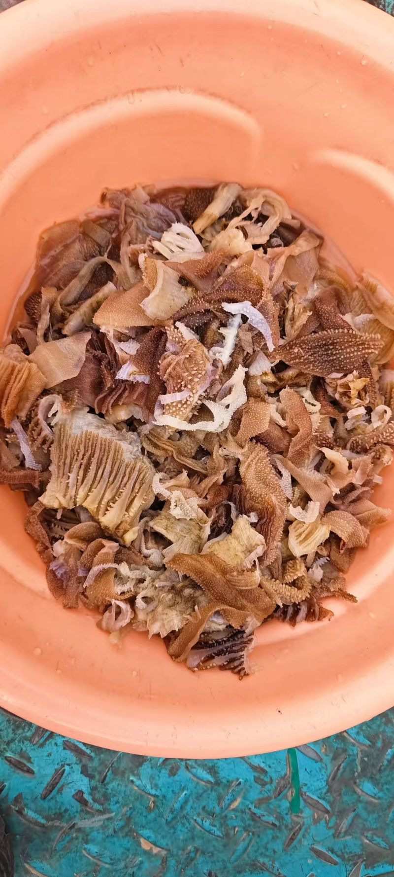 精品毛肚头子